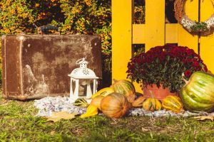 15 inspirujących pomysłów na ozdoby z dyni do dekoracji balkonu, tarasu i ogrodu na jesień